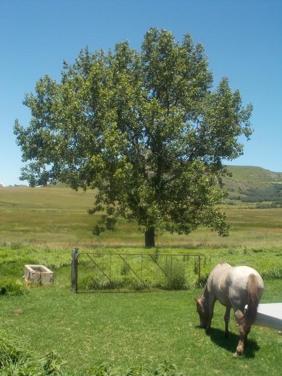 Forellenhof Guest Farm Wakkerstroom Exterior foto